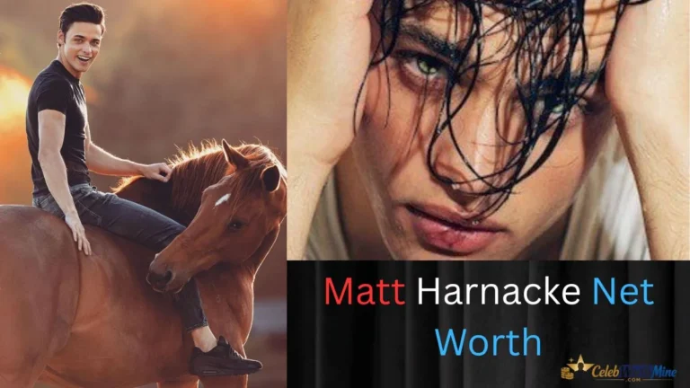 Matt Harnacke Net Worth