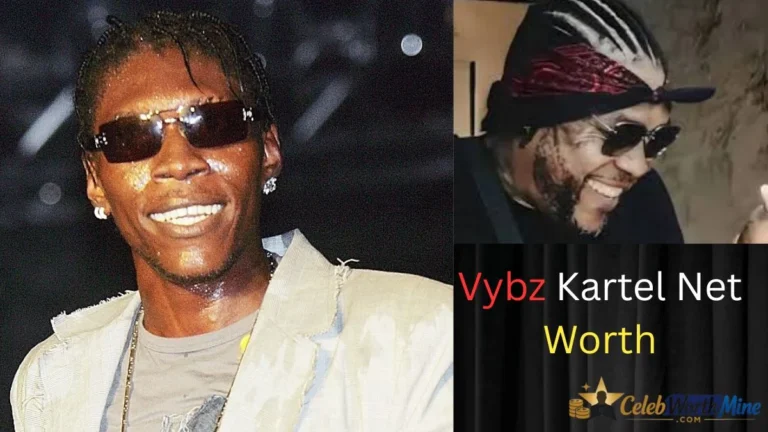 Vybz Kartel Net Worth