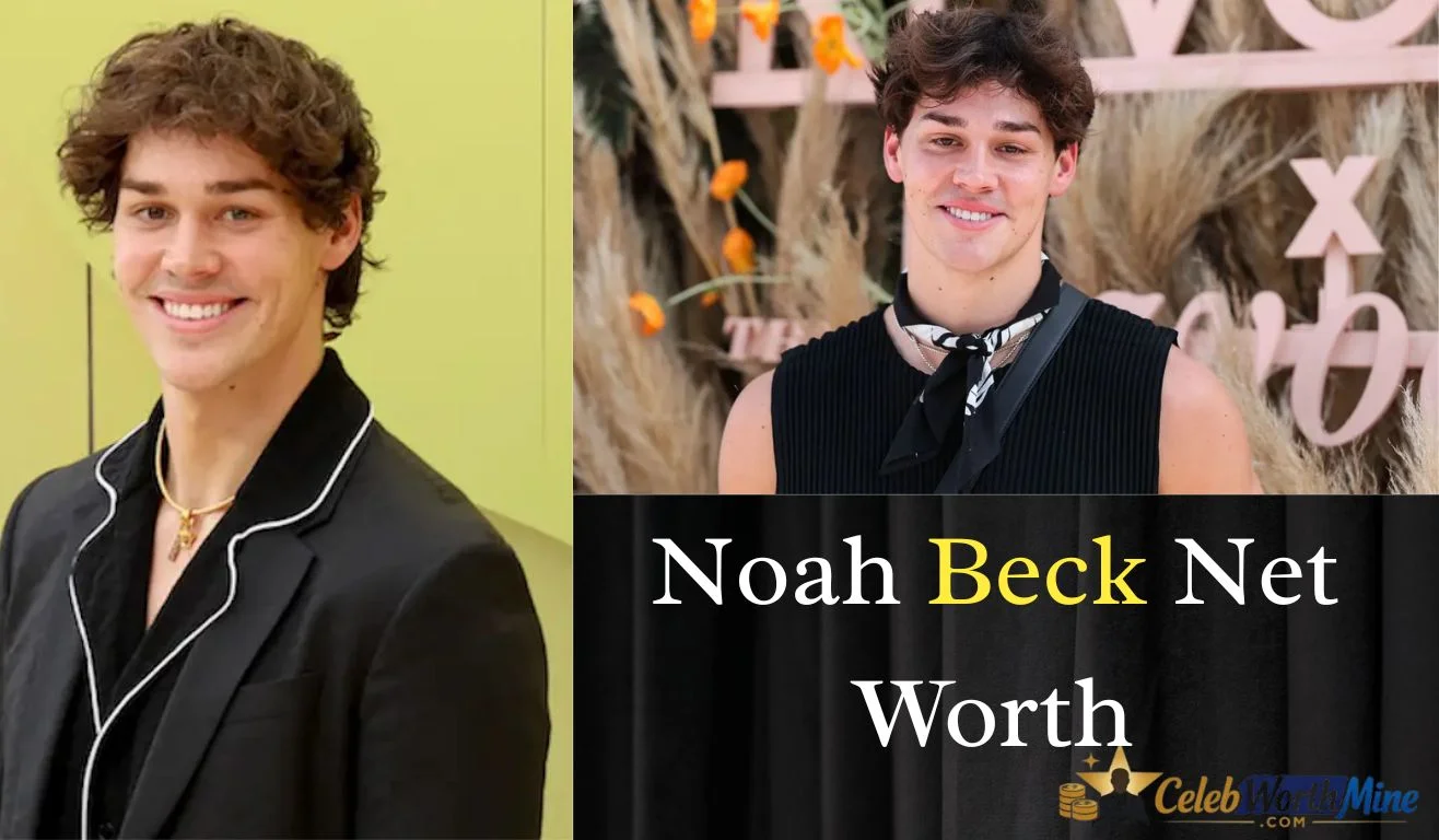 Noah Beck Net Worth
