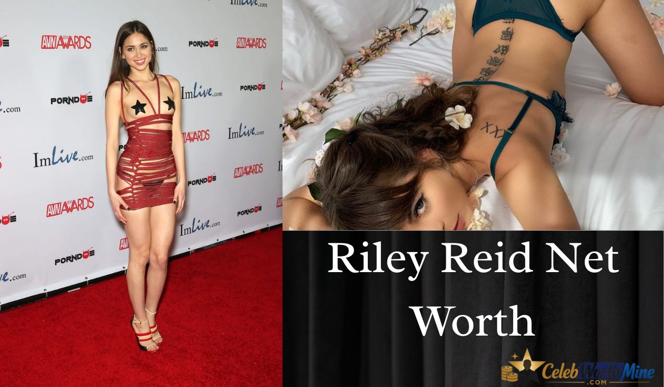 Riley Reid Net Worth