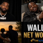 Wallo Net Worth